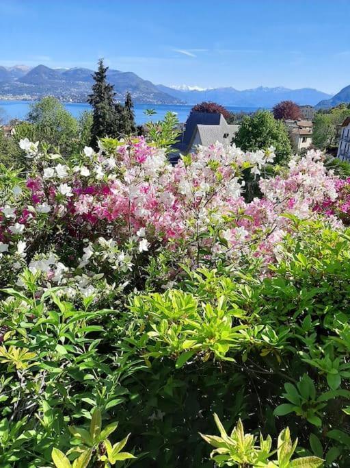 La Finestra Sul Lago - In Villa Con Vista E Posto Auto Coperto Stresa Exteriér fotografie